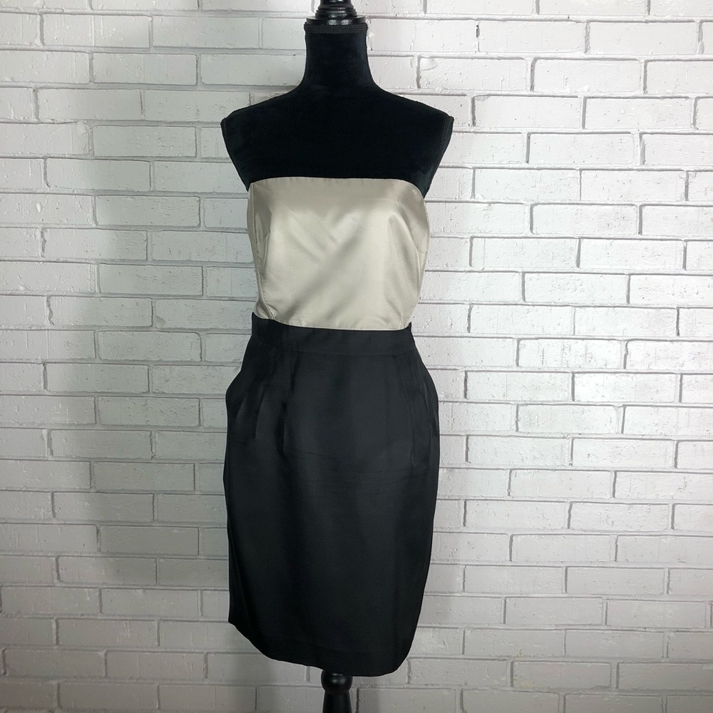 Banana Republic Strapless Colorblock Silk Dress